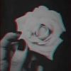 ve_dumbxxx 