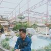 Muhdfirdaus Firdaus