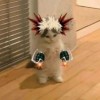 Xixixixi