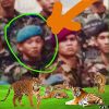 Syed Saiful