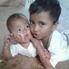 Sudar X LaBoy