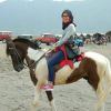Dyah Pangestuti