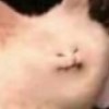JacobXD