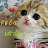 ทิตา