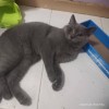 Hidayayaya