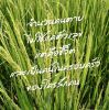 คนทำนา ทำสวนอินทรีย์