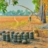 ကျီးမင်းနား သားလေး