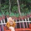 Nurul Azhari Nurul