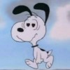 Thip
