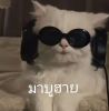 เดชากรณ์ จตุเทน