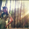 Windiar DN