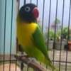 Ahda