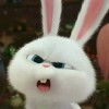 mikomy