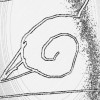 nizam