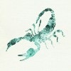By Scorpio