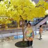 กานต์ธิดา วัชรเมฆขลา
