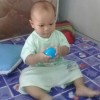 เฟิน