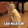 Teuku Al Faril
