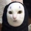 濼濼