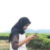 Diyanti Fitri