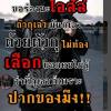 ชนกานต์ เพชรวิเศษกุล