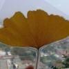 nong