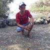 Ardi