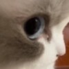 靚