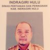 Zoellhanafiah Sulaiman
