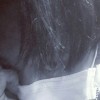 X_LEP's