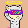 Cryptoboy