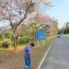 Faris Faqir Fania Che-daoh