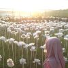 Syarifah Munirah