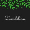 dandelion