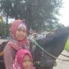 Brondol Sawit