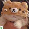 M_aaa/.