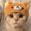 hello369