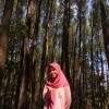 Mayrin Utomo