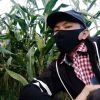 Sulaiman Sakieb Junior