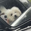 difa_8323