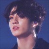🕊 kookoo