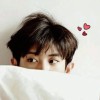 ✧JISOO✧