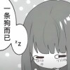 MusicFan