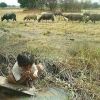 ပြင့္ လင္