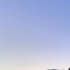 보보