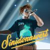 Sinidonasvert