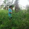 Hasrul Paputungan