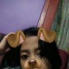 Henoy Shi Kcll