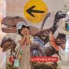 သက်ပိုင်ထွန်း