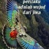 Nur Salam